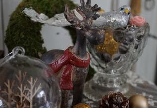 Noël 2019 : la forêt enchantée 5