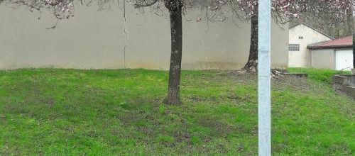 Printemps