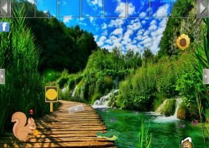 Nature forest escape