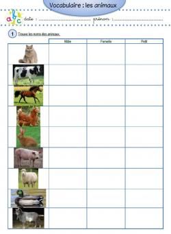 Vocabulaire - Les familles d'animaux