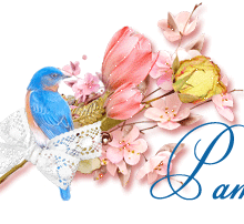 signatureanimee,oiseau bleu