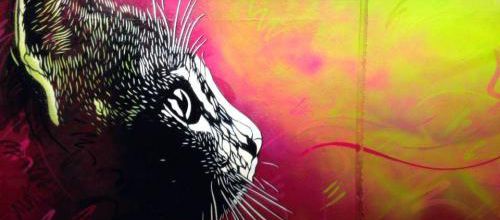 L’art urbain de C215 ou Christian Guémy