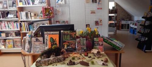 Champignons et Fleurs d'automne table thématique