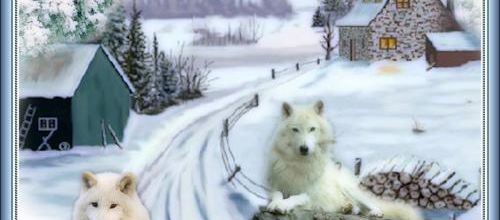 Les loups blancs.