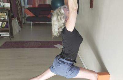 Cours individuel : l'enseignement de Krishnamacharya