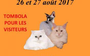 Expositions du mois d'août : 