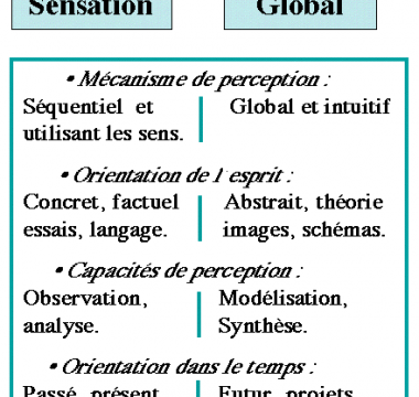 Préférences cérébrales et entente dans un couple (4) : perception et décision.