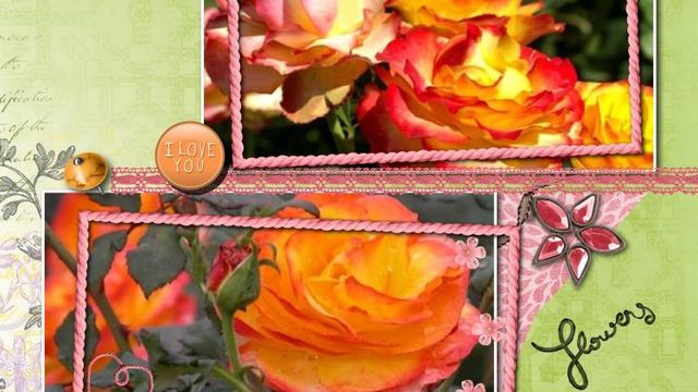 Rosier Etna (Les rosiers à fleurs groupées)