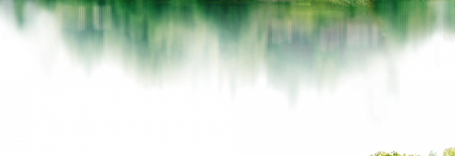 Ѽ Vegetation