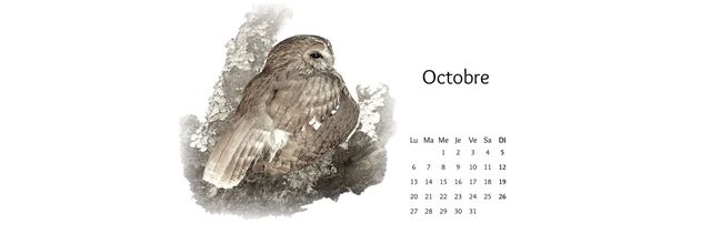 Le calendrier Loxiafilms