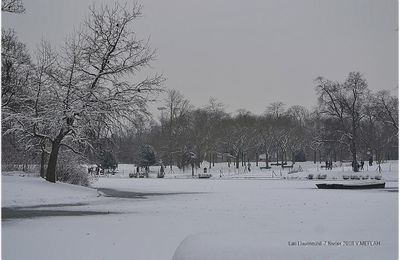 La neige de retour ce vendredi 9 février dans le nord de la France !