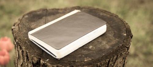 Le carnet démo
