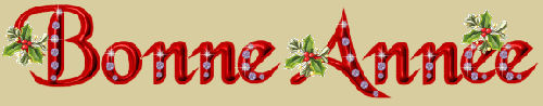 BONNE ANNEE 2015