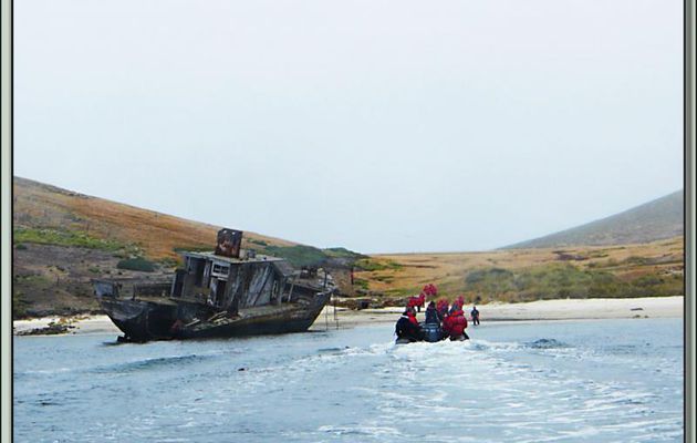 Débarquement à Coffins Harbour avec l'épave du Protector III, navire phoquier échoué en 1969 - New Island - Falkland Islands, Iles Malouines, Islas Malvinas