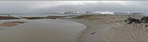 Toujours à l'ancienne station baleinière de Smeerenburg - Ile Amsterdamøya - Svalbard - Norvège