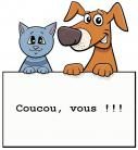 Amies scrappeuses, j'ai besoin de votre aide