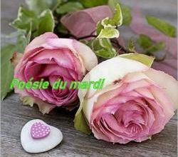  Poésie  le mardi 