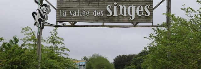 LA VALLÉE DES SINGES (1/3)