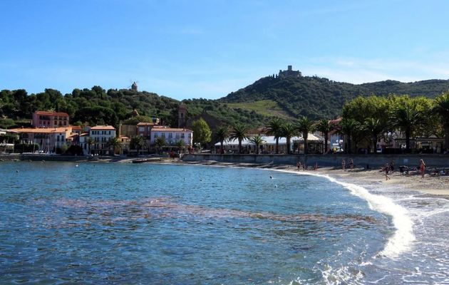Collioure - Pyrénées Orientales -1