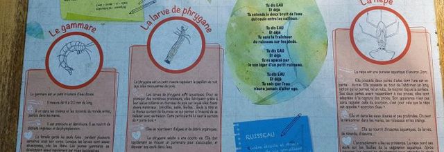 Domaine du Lain à Gestel Morbihan Bretagne - Promenons nous dans les bois
