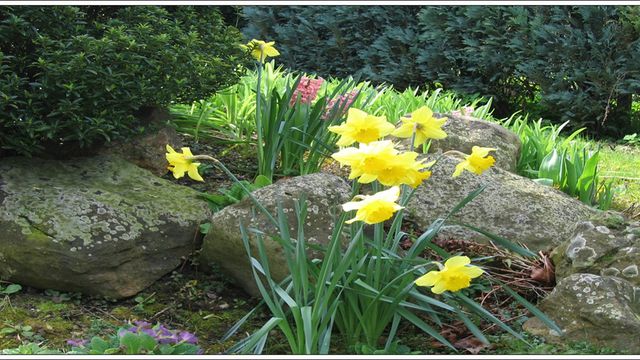 Demain c'est le printemps.... yes