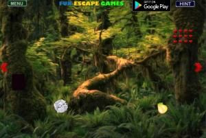 Bigroot forest