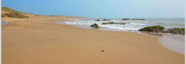 85 . Vendée - Olonne sur Mer (1) - Plage de Sauveterre