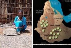 Addis-Abeba : Conférence internationale sur le Café, la qualité en prime
