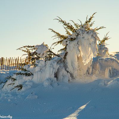 L'hiver en Auvergne 2.0 (sur le plateau)