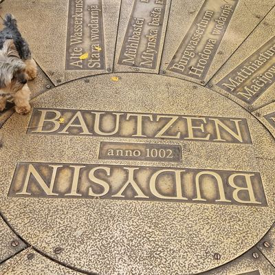 De la Pologne à l’ Allemagne 