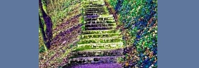 Samedi de l'autre côté de mon escalier...