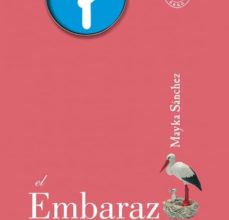 Ebook epub descarga gratuita EL EMBARAZO CONTADO CON SENCILLEZ RTF FB2 9788496748132