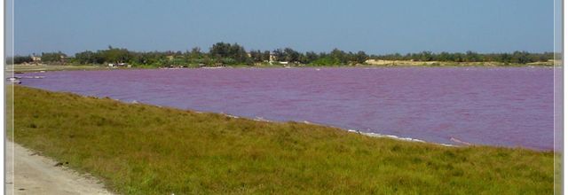 LAC  ROSE  OU  LAC  RETBA 