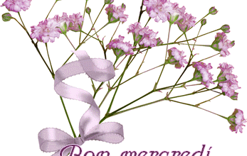 Proverbes sur la "douleur"