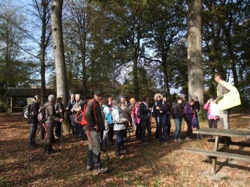 "Forêts vers Cîteaux" - Dimanche 04 novembre 2018