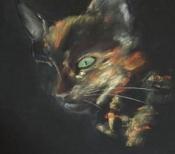 chat