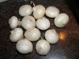 Petits oignons blancs marinés