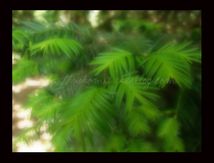 En vert tendre