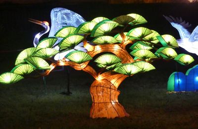 Les grues au Festival des Lanternes Chinoises, à Gaillac...