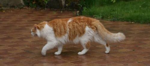 J'aime la pluie ..