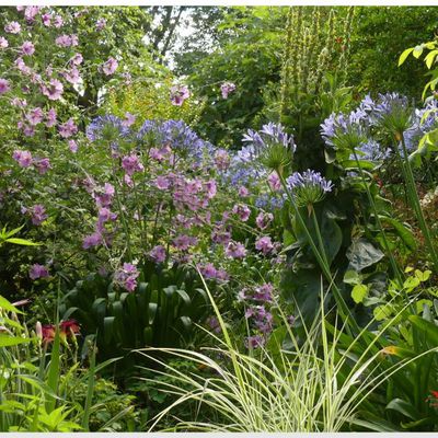 Quelques scènes du jardin