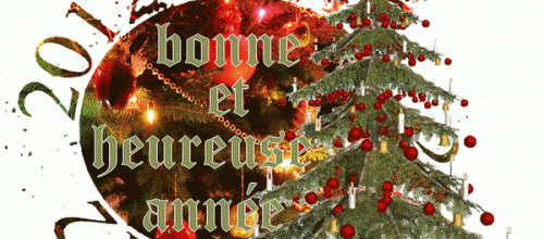 Bonne année .