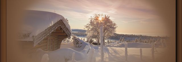 Mist paysage hiver 4