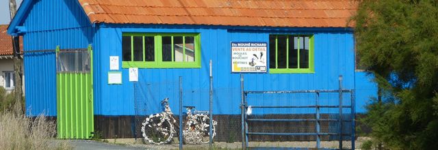 En passant par... les cabanes ostréicoles de Brouage