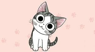 CHAT Chat chat ^^ 