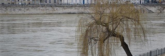 Exercice de simulation d'une crue majeure en Île-de-France