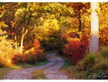 L'automne à son apogée