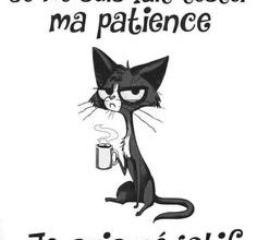 Je reviens peu à peu