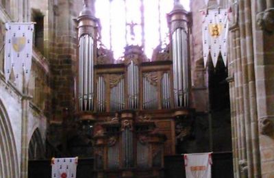 -Buffet d'orgue, cathédrale Saint-Tugdual (Tréguier)