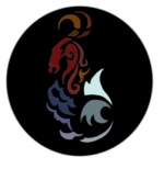 Signes du Zodiaque - Capricorne !